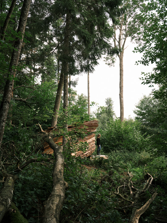 A person stands beside a sculptural timber structure made of stacked boards in a dense forest.