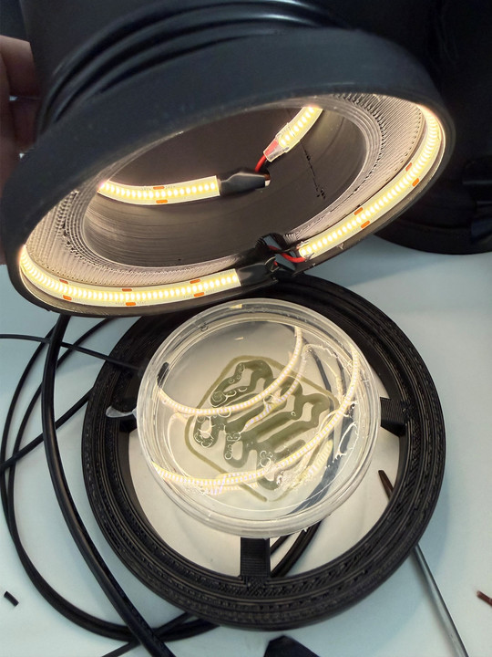 Close-up of a round lamp with illuminated LED strips above a transparent container filled with liquid.