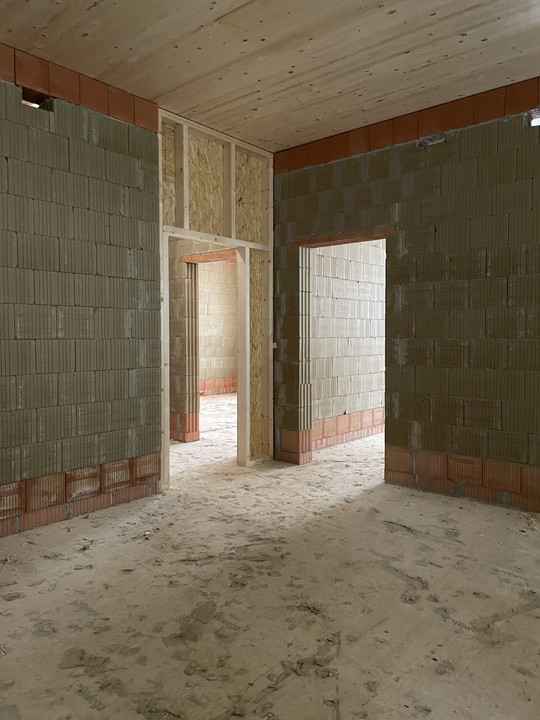 Unfinished room with green brick walls, red brick courses, a timber ceiling, and door openings with timber frames.