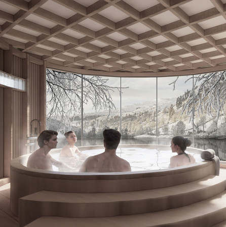 The Sauna View