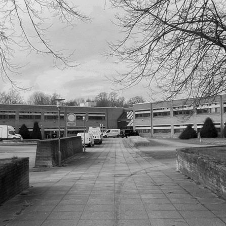 images of site & intervention