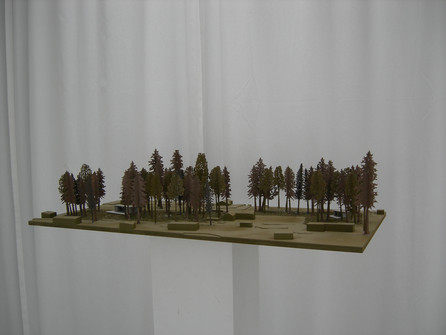 1:200 site model