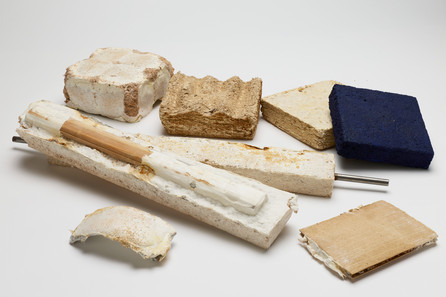 Mycelium samples