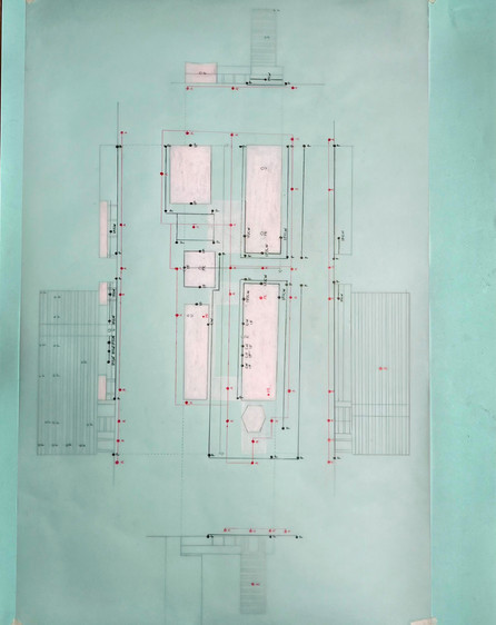 Acupuncture Diagram 