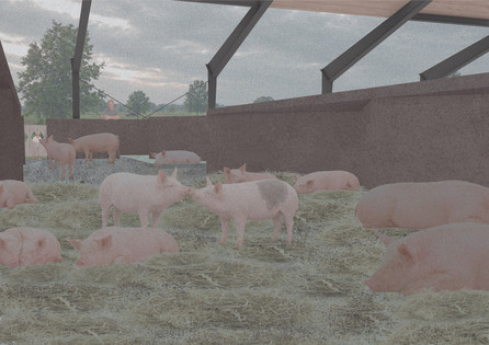 Scenario Visualisation: Finishing Pig Pen
