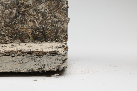 EelCrete blok