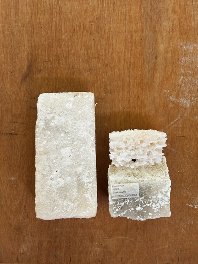 fossilised salt
