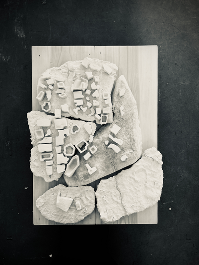 Site model
