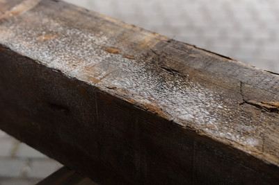 Mold