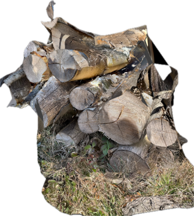 3D-scanning af tømmer i Magleskov