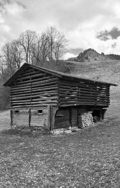 stable photography