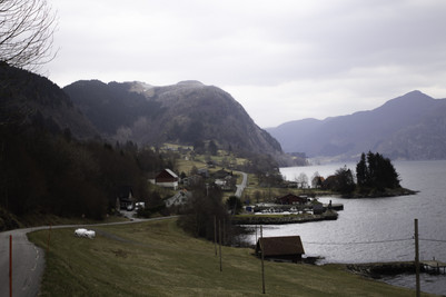 Vevring