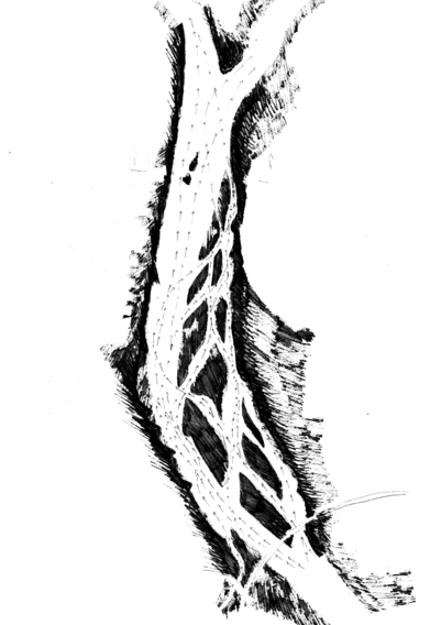 Flod-diagram