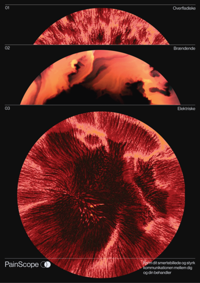 Poster of PainScope
