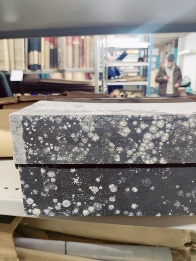 Books with white mold spots on a storage shelf.