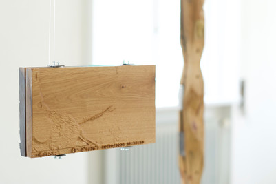Icons, Nocturnal Animals. Valea Șesei, 2026. Walnut, 300x168