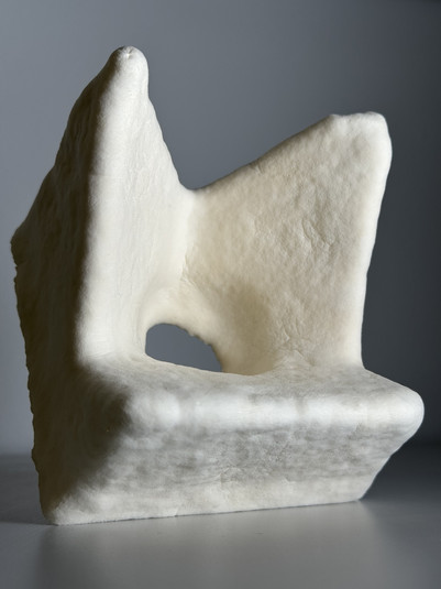 Object made of mycelium material
