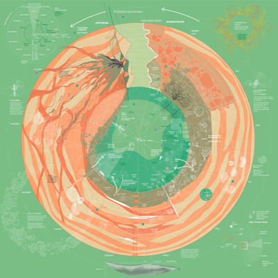 Circular diagram showing interactions between soil layers, water flows, microorganisms and seasonal cycles.