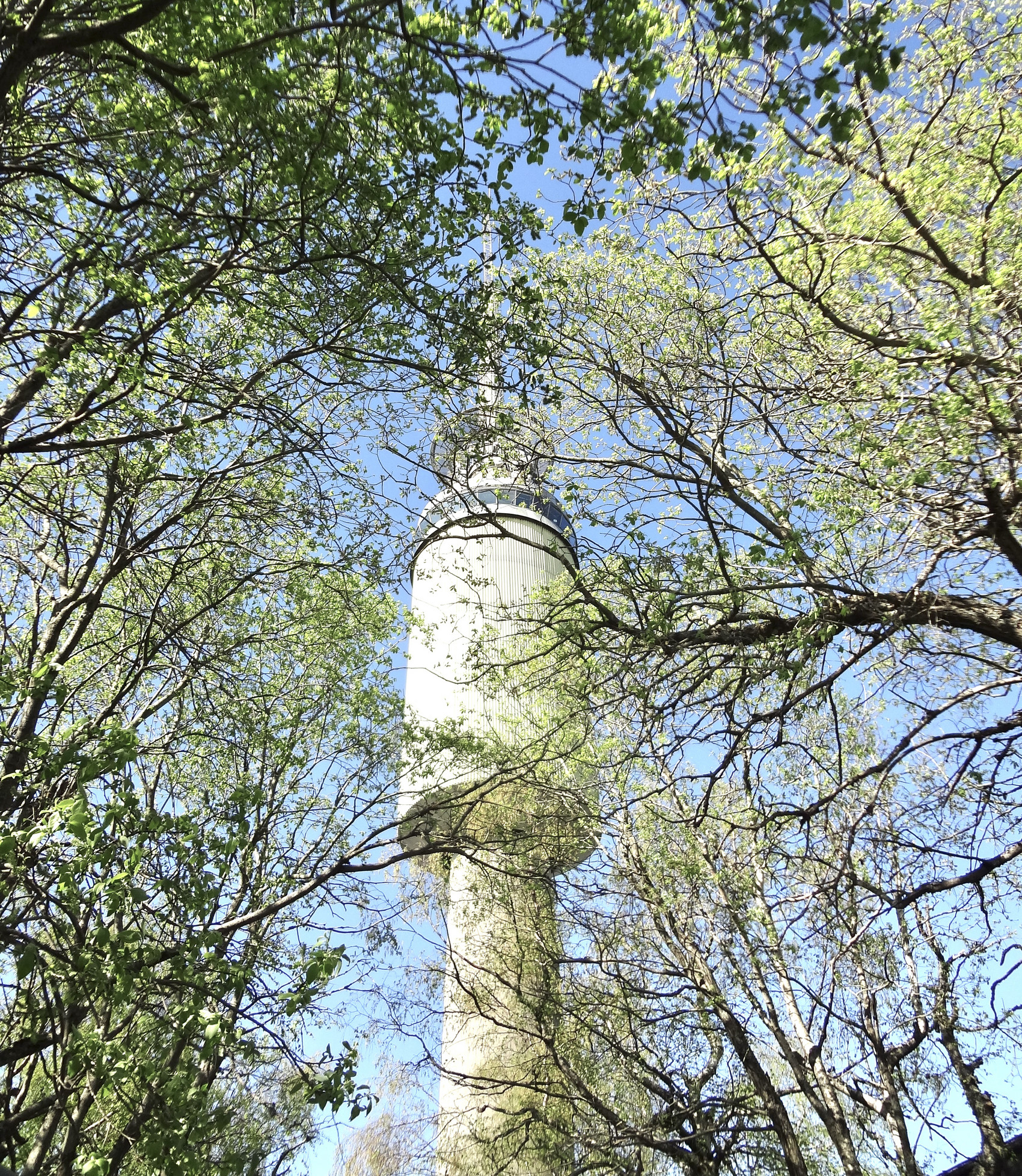 Tryvannstårnet