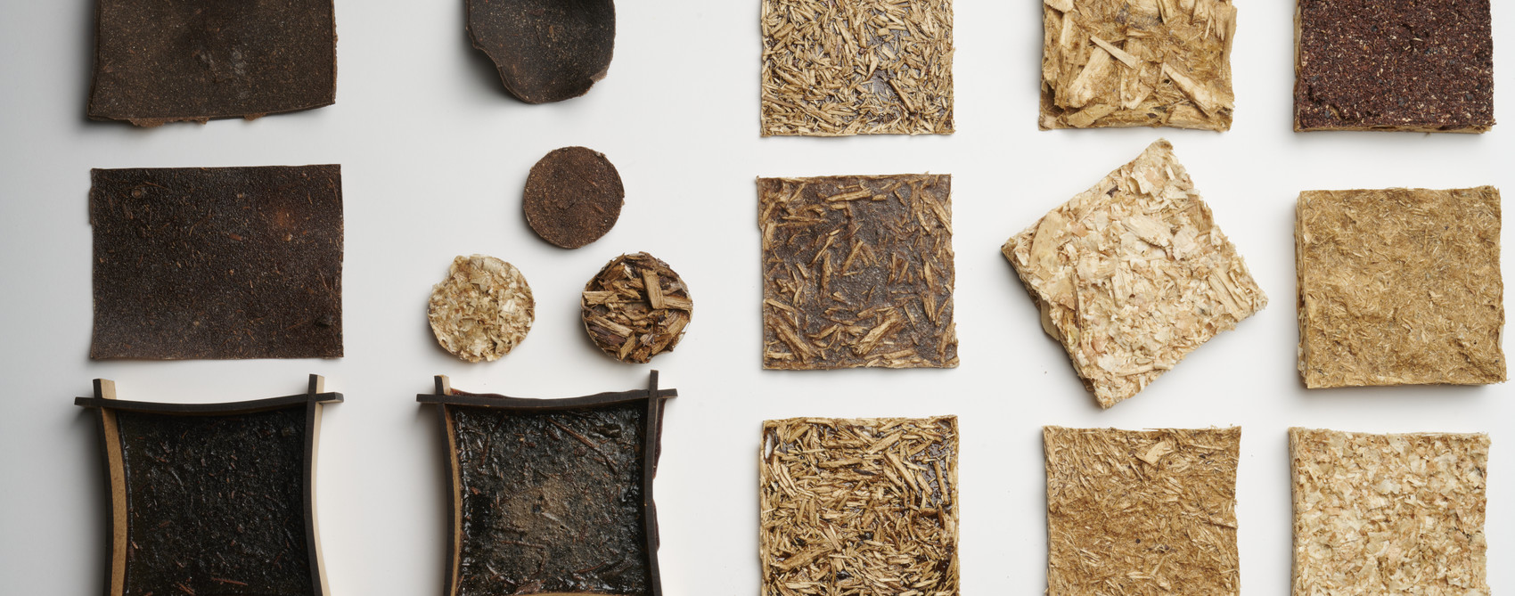 Rewood - from wood waste to new use