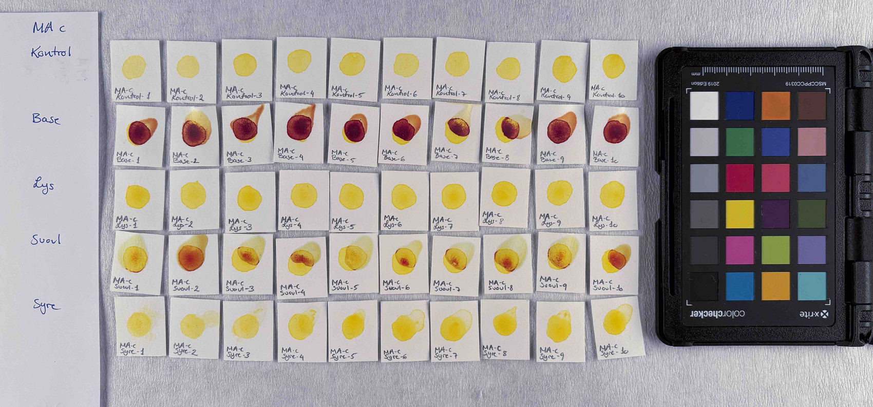 Photo documentation of pigment PY151 in 5% concentration, after treatment