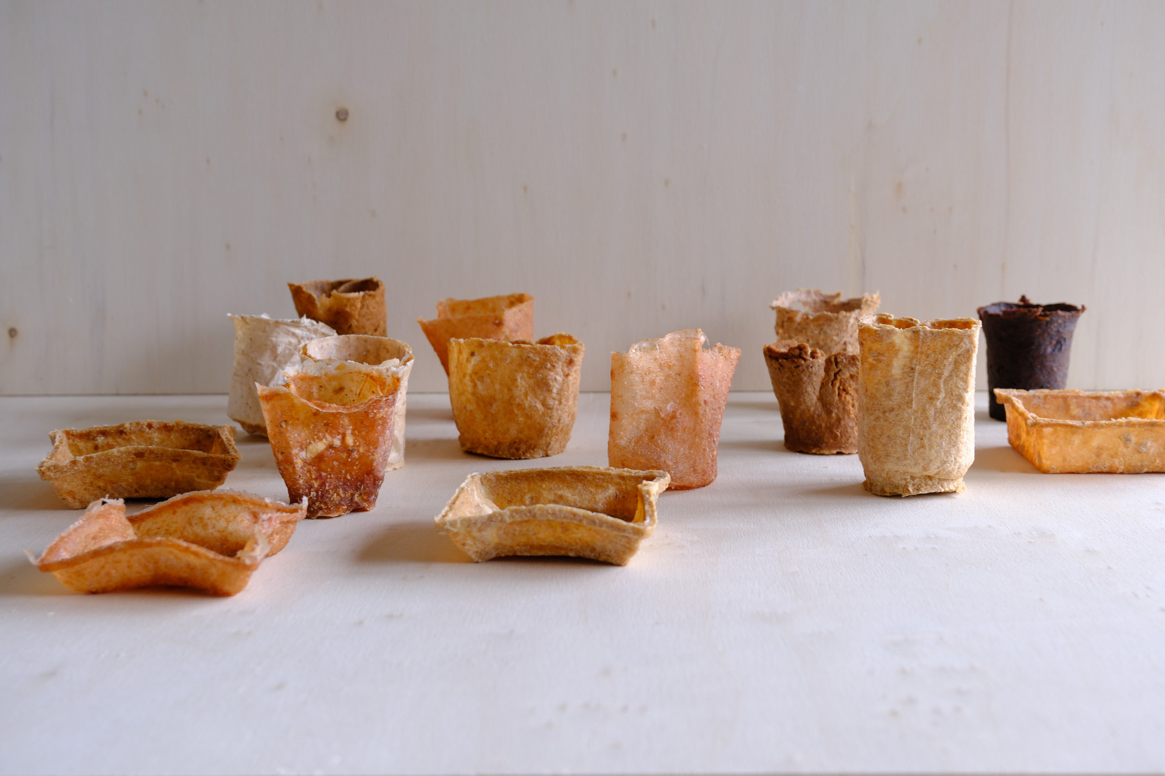 Prototypes