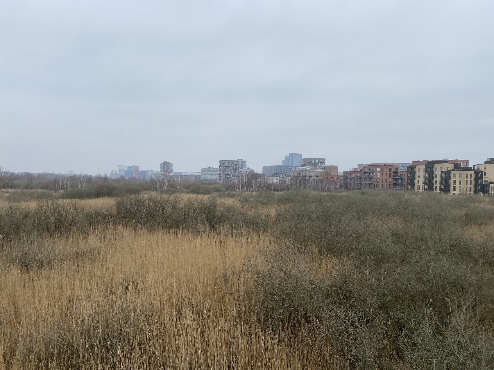 Ørestad Syd og Kalvebod Fælled