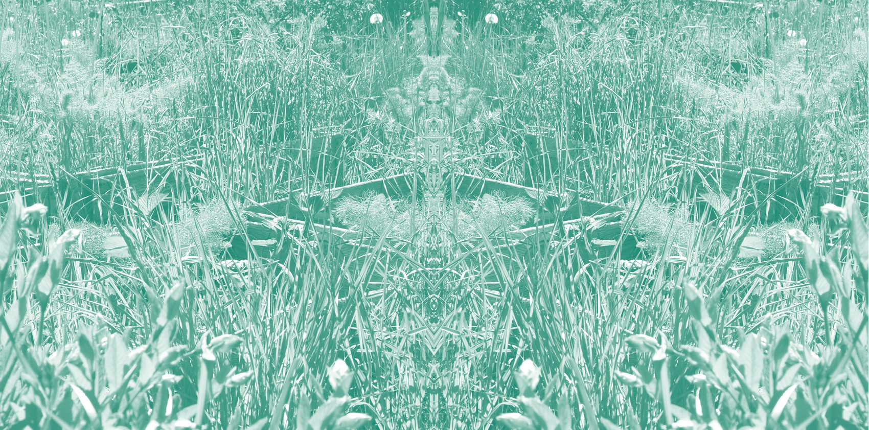 wallpaper3