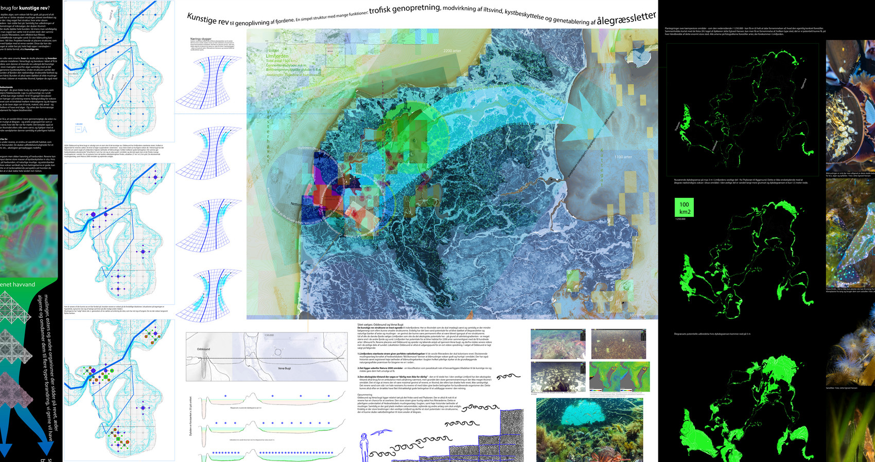Situating the artificial reefs