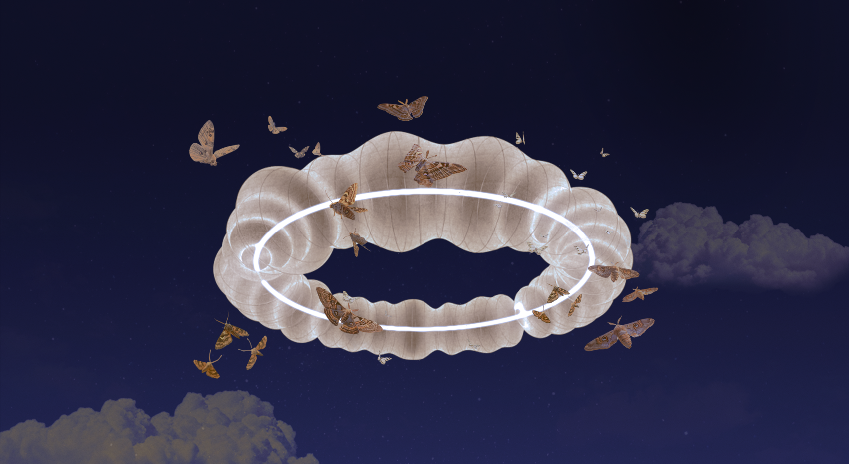 Graphic: Blue night sky with an oval glowing object surrounded by brown butterflies