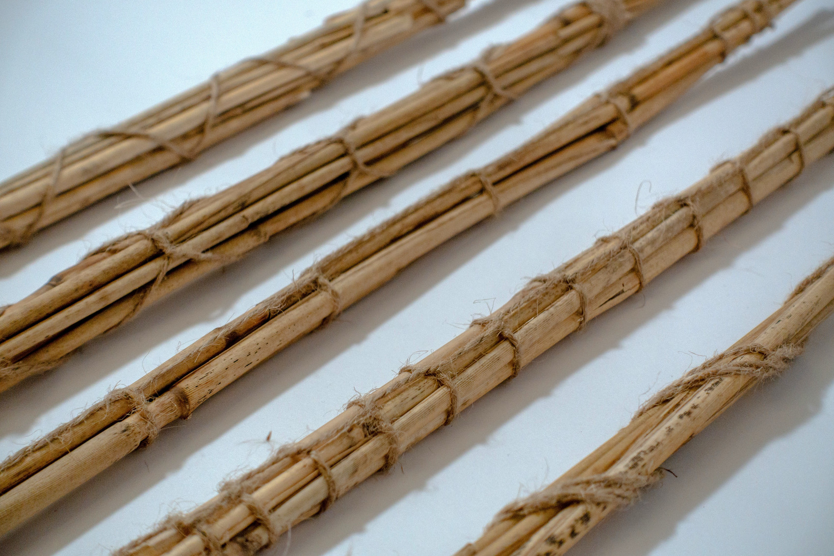 Bundles of bamboo sticks tied with string in rows.