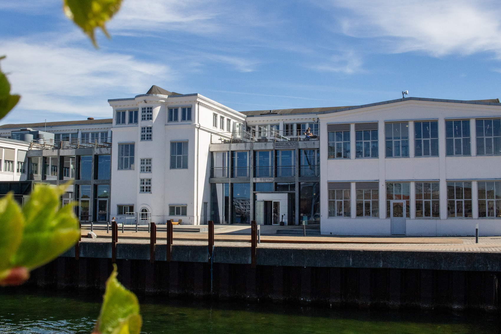 Det Kongelige Akademis bygning ved havnefronten på Holmen. En hvid, moderne institutionsbygning med store vinduespartier spejler sig i vandet, omgivet af kajanlæg, blå himmel og grønne blade i forgrunden.