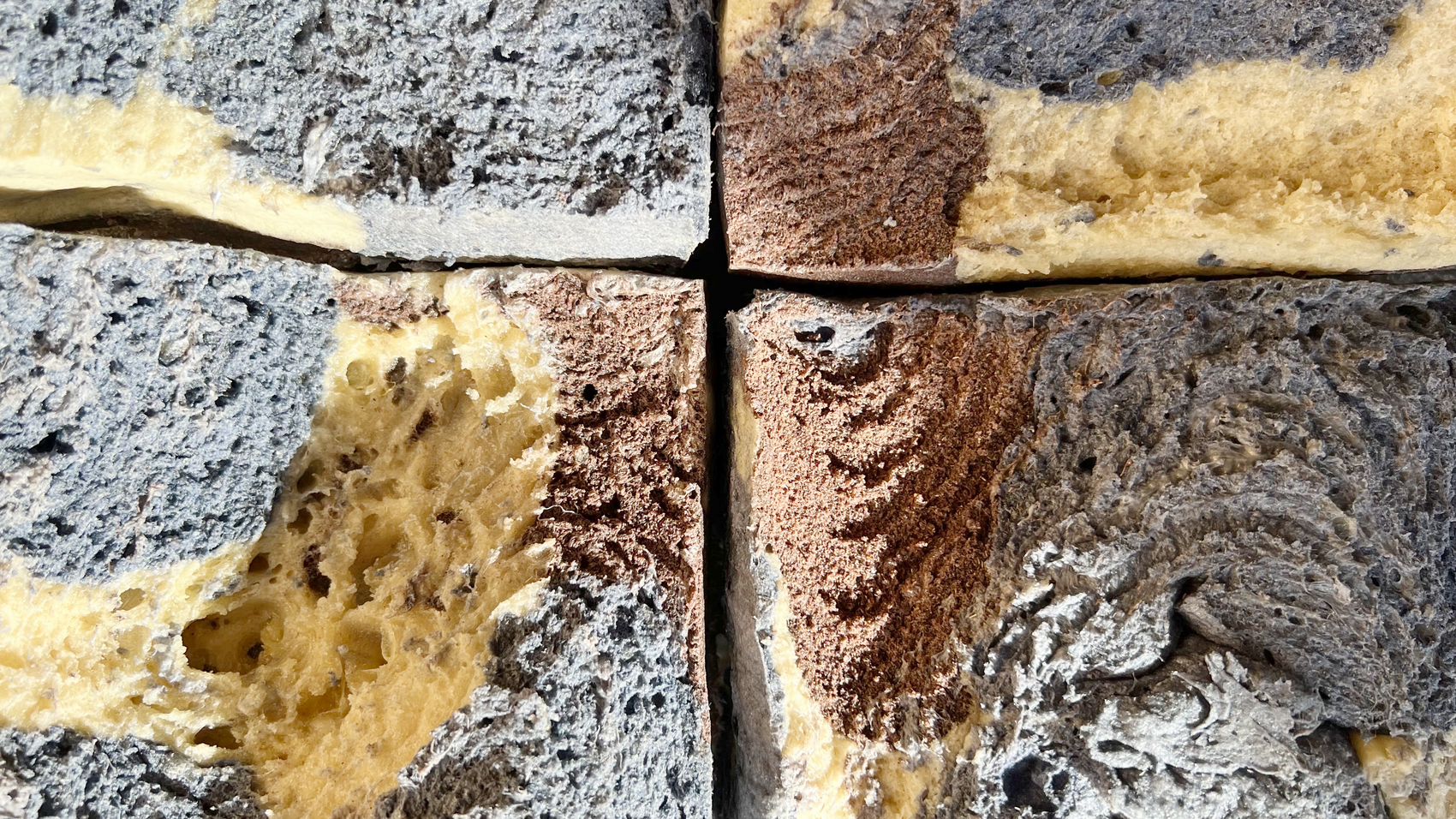 Biofoam Closeup
