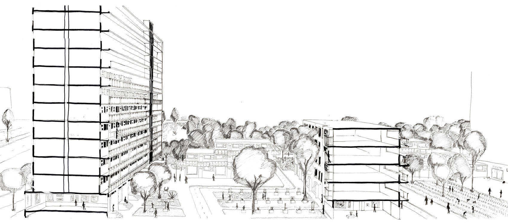section