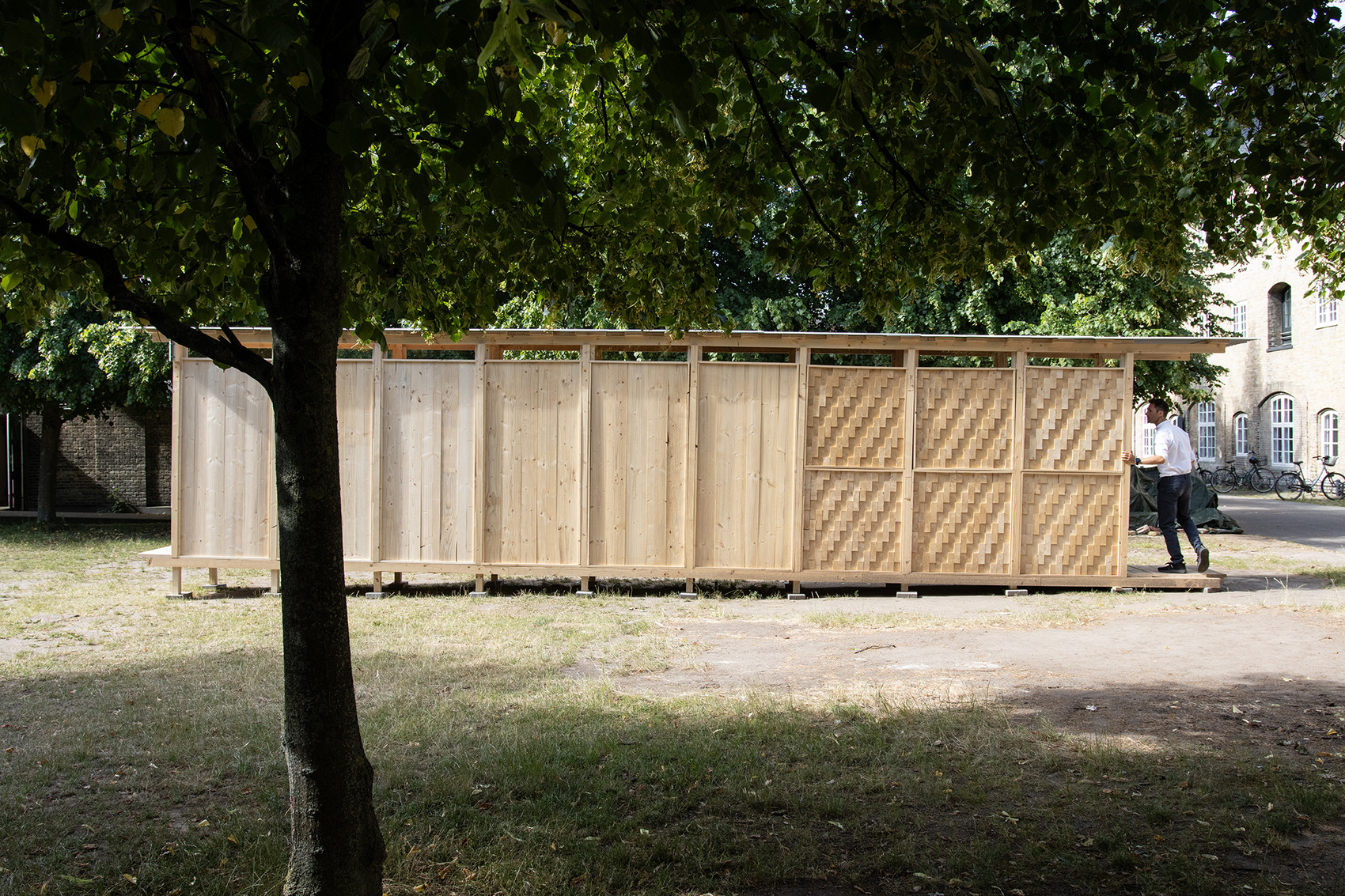 Long timber pavilion with varied facade cladding beneath large trees in a courtyard.